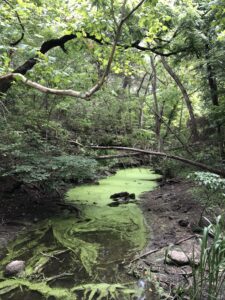 Fort parker state park