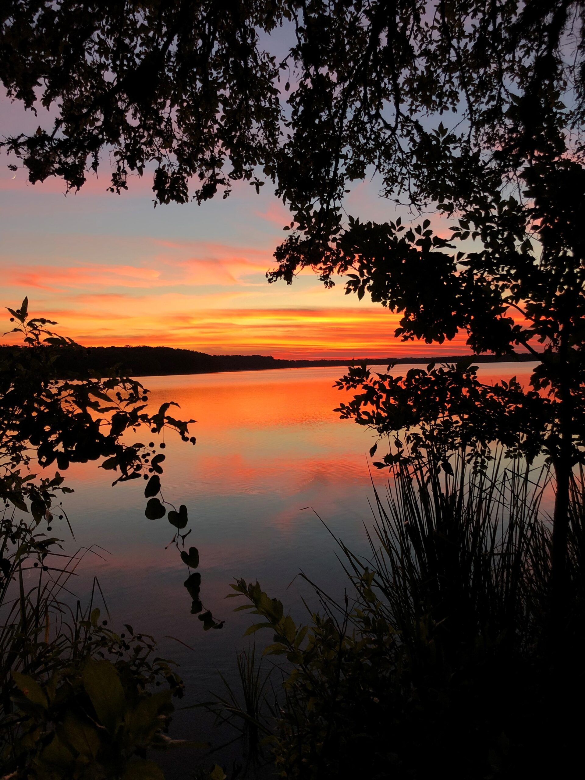 Fort parker state park's lake